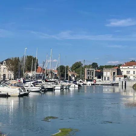 Quiet Mobile In A Family Jf383 *