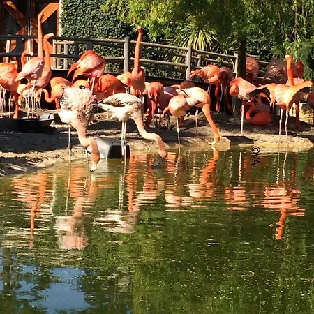 Quiet Mobile In A Family Jf383 Les Mathes