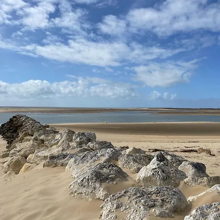 Quiet Mobile In A Family Jf383 *