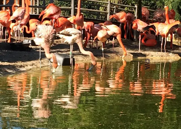 Quiet Mobile In A Family Jf383 Les Mathes