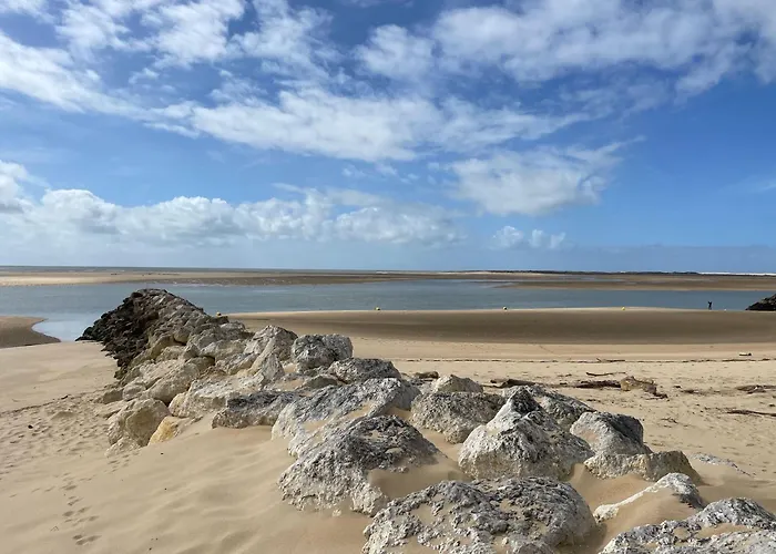 Quiet Mobile In A Family Jf383 *